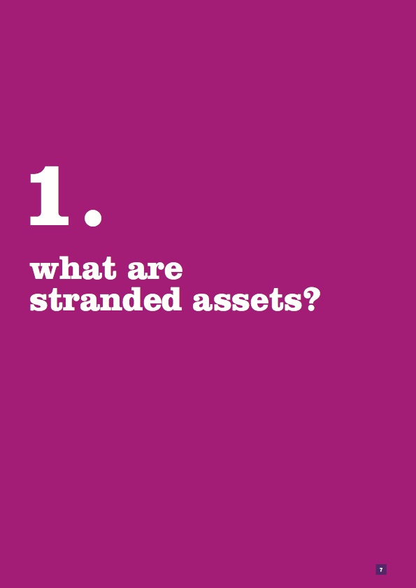 Stranded Assets